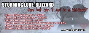StormingLove_blizzard_banner blast